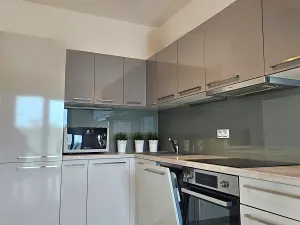 Pronájem bytu 2+kk, Praha - Žižkov, Olšanská, 66 m2