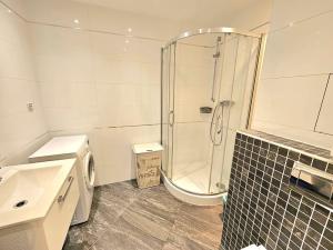 Pronájem bytu 2+kk, Praha - Žižkov, Olšanská, 66 m2