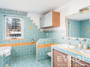 Prodej komerční nemovitosti, Dolní Lánov, 171 m2