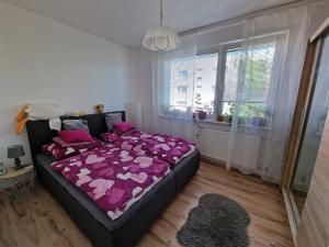 Pronájem bytu 1+1, Chrastava, Střelecký vrch, 45 m2