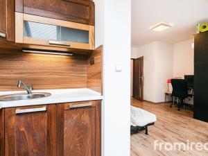 Pronájem bytu 1+kk, Brno, Anenská, 35 m2