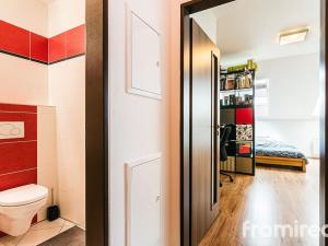 Pronájem bytu 1+kk, Brno, Anenská, 35 m2