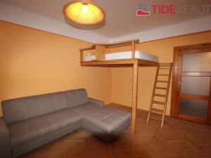 Pronájem bytu 1+1, Praha - Žižkov, Viklefova, 47 m2