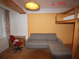 Pronájem bytu 1+1, Praha - Žižkov, Viklefova, 47 m2