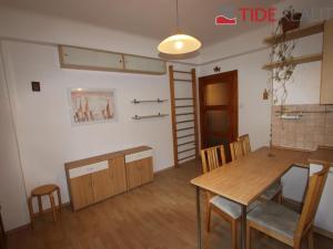 Pronájem bytu 1+1, Praha - Žižkov, Viklefova, 47 m2