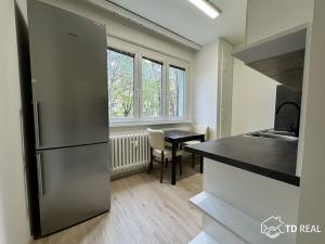 Pronájem bytu 1+1, Brno, Kotěrova, 40 m2