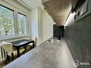 Pronájem bytu 1+1, Brno, Kotěrova, 40 m2