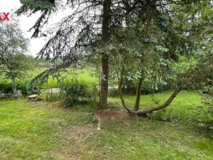 Prodej chaty, Nová Cerekev - Částkovice, 53 m2