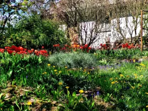 Prodej rodinného domu, Křinec - Sovenice, 150 m2