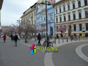 Pronájem obchodního prostoru, České Budějovice - České Budějovice 6, Lannova tř., 160 m2