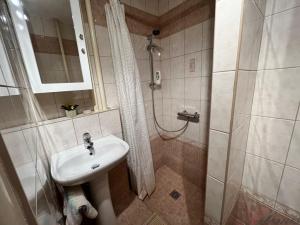 Pronájem bytu 1+kk, Ostrava - Poruba, Aleše Hrdličky, 28 m2