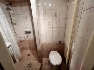 Pronájem bytu 1+kk, Ostrava - Poruba, Aleše Hrdličky, 28 m2
