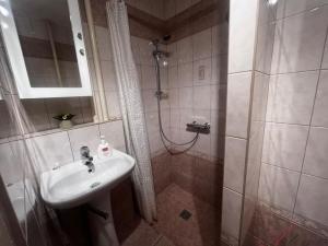 Pronájem bytu 1+kk, Ostrava - Poruba, Aleše Hrdličky, 28 m2