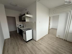 Pronájem bytu 3+1, Most, M. G. Dobnera, 64 m2