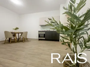 Prodej bytu 3+kk, Brno, Kapucínské náměstí, 64 m2