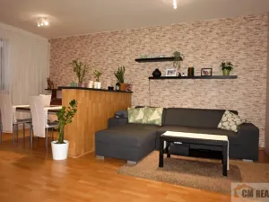 Prodej vícegeneračního domu, Opatov, 360 m2