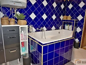 Prodej vícegeneračního domu, Opatov, 360 m2