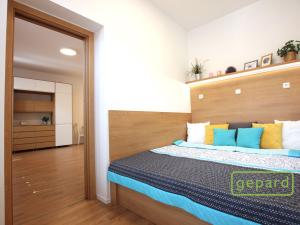 Pronájem bytu 2+kk, Brno - Brno-město, Jezuitská, 41 m2