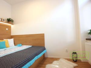 Pronájem bytu 2+kk, Brno - Brno-město, Jezuitská, 41 m2