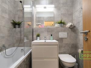Pronájem bytu 2+kk, Brno - Brno-město, Jezuitská, 41 m2