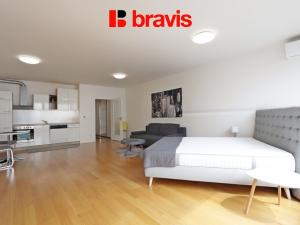 Pronájem bytu 1+kk, Brno, Mlýnská, 63 m2