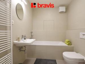 Pronájem bytu 1+kk, Brno, Mlýnská, 63 m2