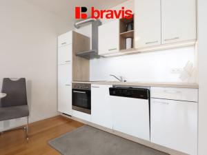 Pronájem bytu 1+kk, Brno, Mlýnská, 63 m2