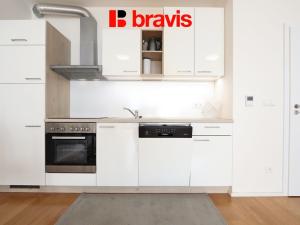 Pronájem bytu 1+kk, Brno, Mlýnská, 63 m2