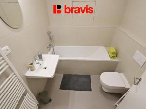 Pronájem bytu 1+kk, Brno, Mlýnská, 63 m2