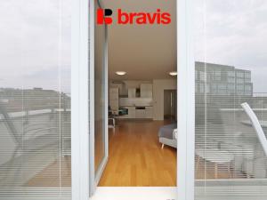 Pronájem bytu 1+kk, Brno, Mlýnská, 63 m2