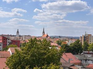 Prodej bytu 1+1, Vyškov, Hybešova, 38 m2
