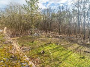 Prodej pozemku pro bydlení, Ovčáry, 6090 m2