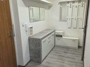 Pronájem bytu 1+1, Ostrava, Slavíkova, 40 m2