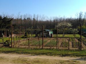 Prodej zahrady, Hodonín, 585 m2