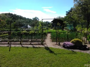 Prodej zahrady, Hodonín, 585 m2