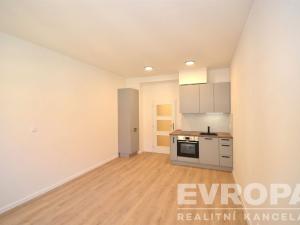 Pronájem bytu 1+kk, Praha - Žižkov, Chlumova, 32 m2