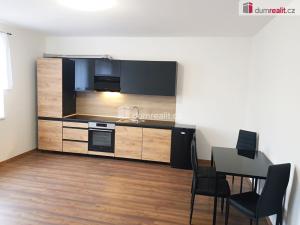 Prodej bytu 2+kk, Milovice - Mladá, Kaštanová, 47 m2