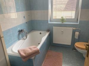 Pronájem bytu 2+kk, Benešov, Na Chmelnici, 47 m2