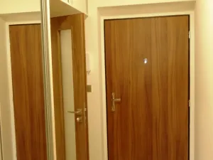 Pronájem bytu 1+kk, Zlín, Zelinova, 27 m2