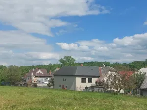 Prodej rodinného domu, Vojkovice, 98 m2