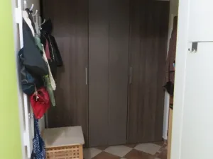 Pronájem bytu 1+1, Olomouc, Foerstrova, 41 m2