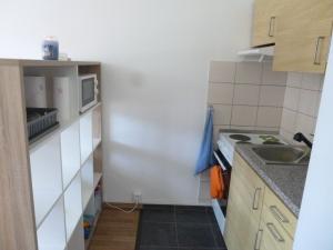 Pronájem bytu 1+kk, Děčín - Děčín III-Staré Město, Žerotínova, 22 m2
