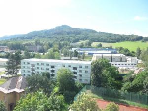 Pronájem bytu 1+kk, Děčín - Děčín III-Staré Město, Žerotínova, 22 m2