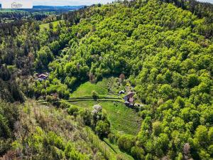 Prodej lesa, Milešov - Přední Chlum, 54900 m2