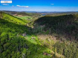 Prodej lesa, Milešov - Přední Chlum, 54900 m2