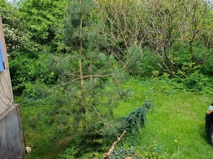Prodej rodinného domu, Chotěboř, 108 m2