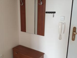 Pronájem bytu 3+kk, Benátky nad Jizerou, Pražská, 70 m2