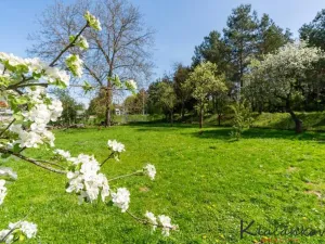 Prodej pozemku pro bydlení, Lípa, 534 m2