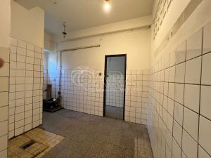 Pronájem obchodního prostoru, Praha - Krč, Za Zelenou liškou, 63 m2