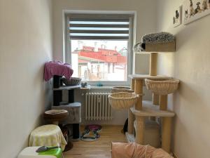 Prodej bytu 3+kk, Hradec Králové - Pražské Předměstí, Puškinova, 54 m2